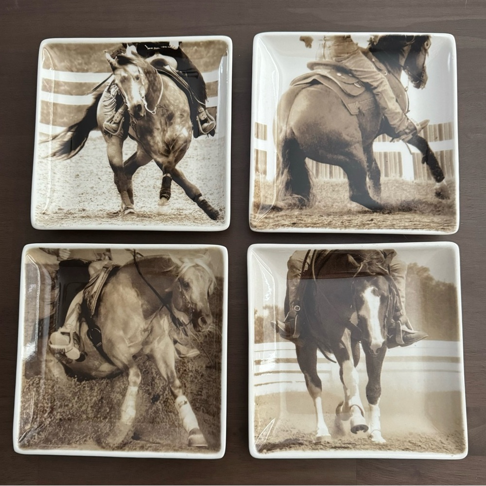 Performance Horse Photography Square Plates Set - Brown